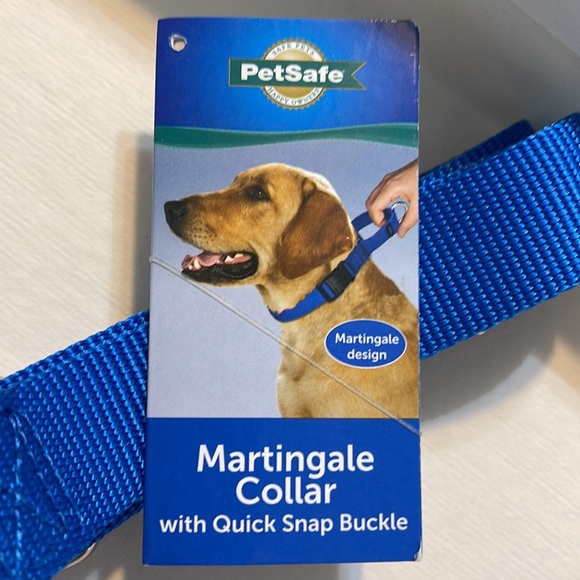 Martingale Collar with Quick Snap Buckle - Picture 3 of 5